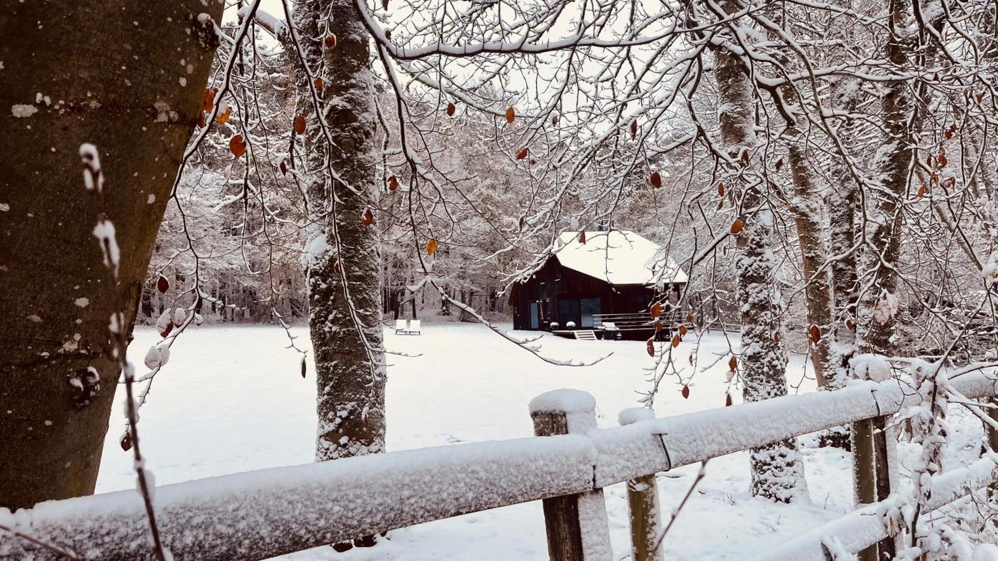 La Cabane D'Amae Marche-en-Famenne Kültér fotó